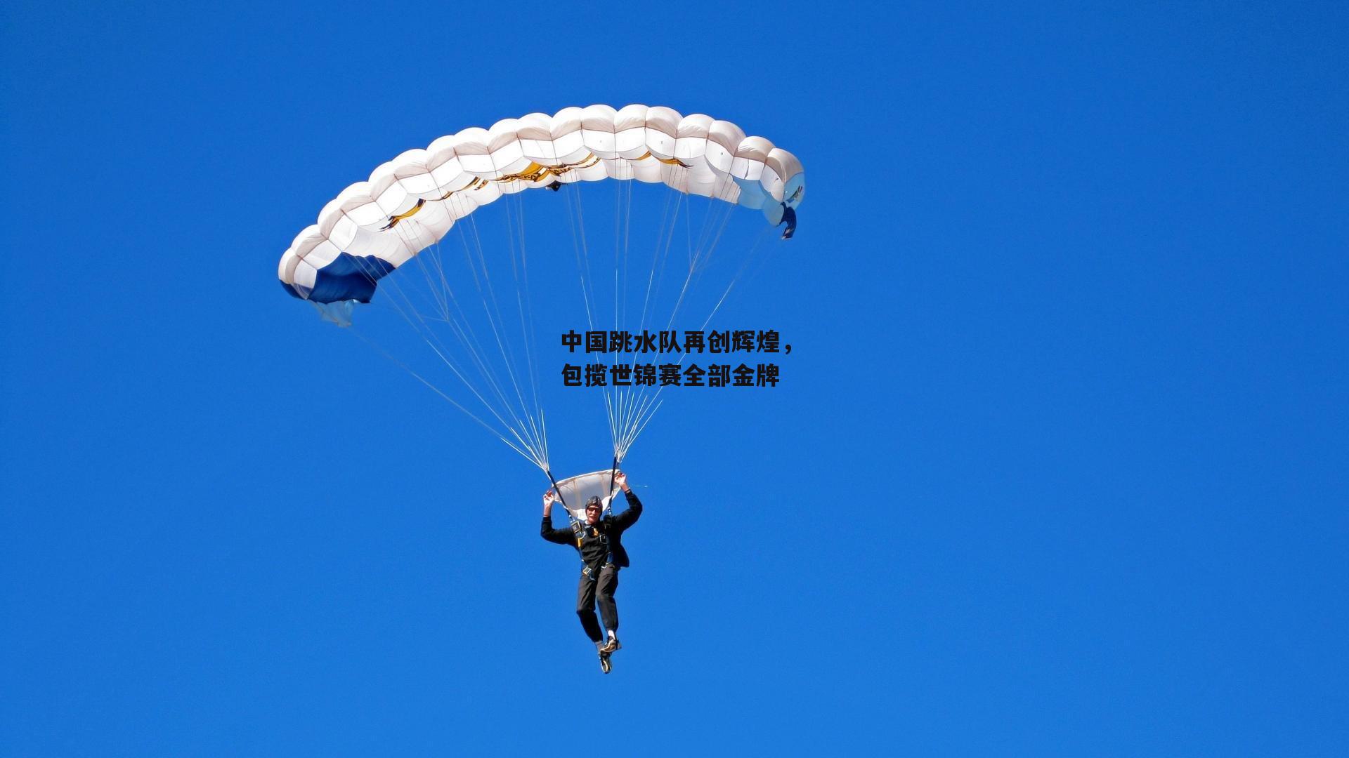 中国跳水队再创辉煌，包揽世锦赛全部金牌